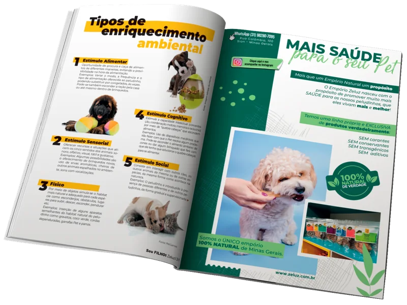 Amostra de páginas internas diagramadas