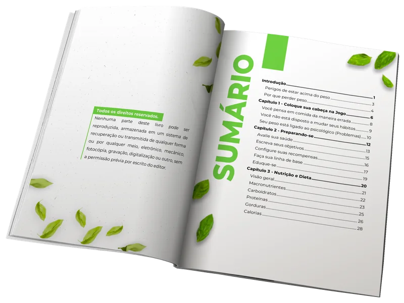 Amostra de páginas internas diagramadas
